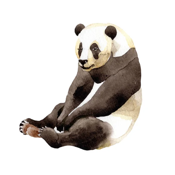 Panda animal sauvage dans un style aquarelle isolé . — Photo
