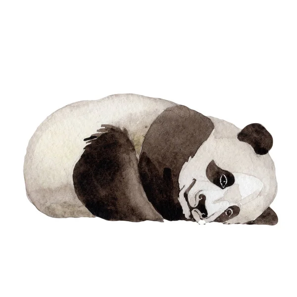 Панда диких тварин в стилі аквареллю ізольовані. — стокове фото