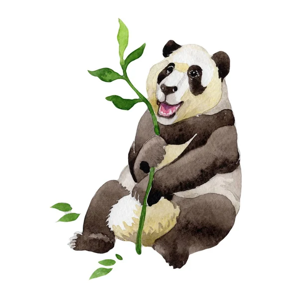 Panda vahşi hayvan izole bir suluboya tarzında.