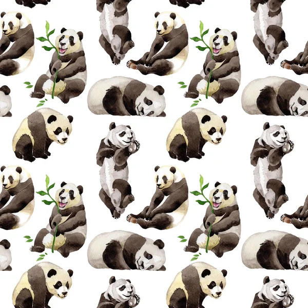 Panda vahşi hayvan desen suluboya tarzında.