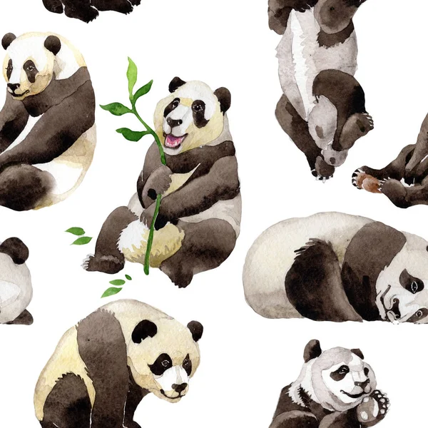 Panda vahşi hayvan desen suluboya tarzında.