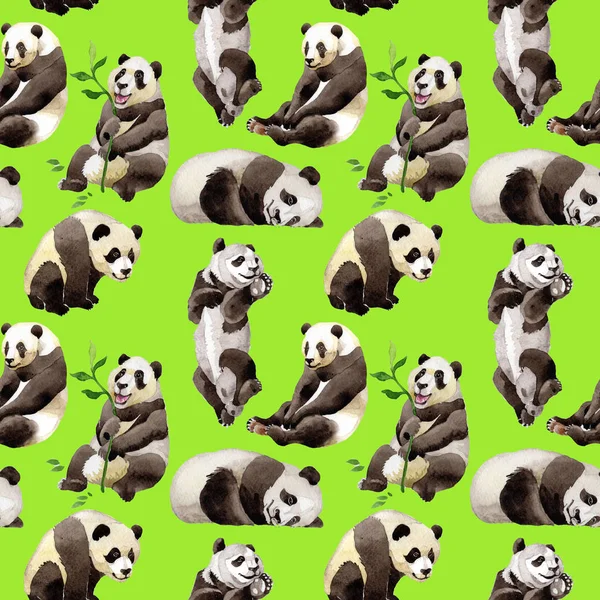 Panda vahşi hayvan desen suluboya tarzında.
