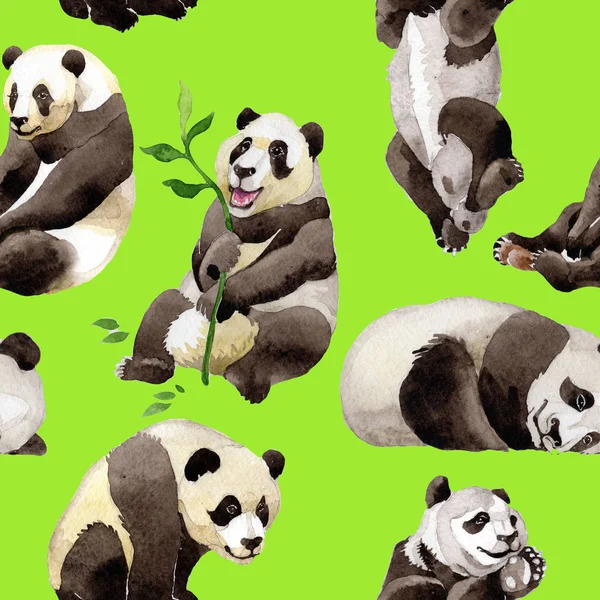 Patrón animal salvaje Panda en un estilo acuarela . —  Fotos de Stock