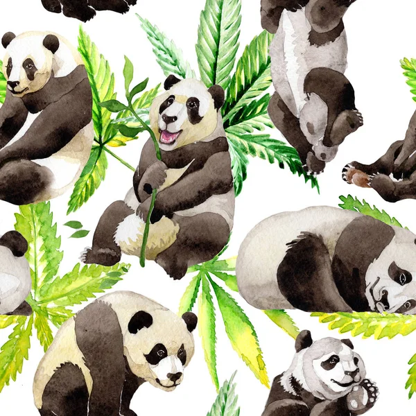 Рисунок панды в стиле акварели . — стоковое фото