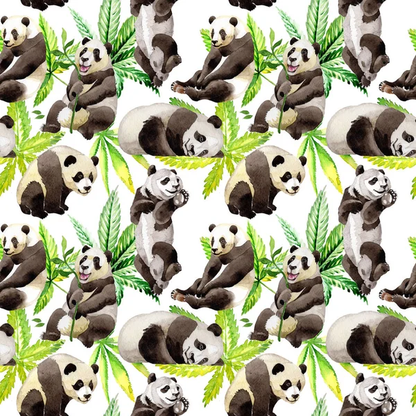 Panda vahşi hayvan desen suluboya tarzında.