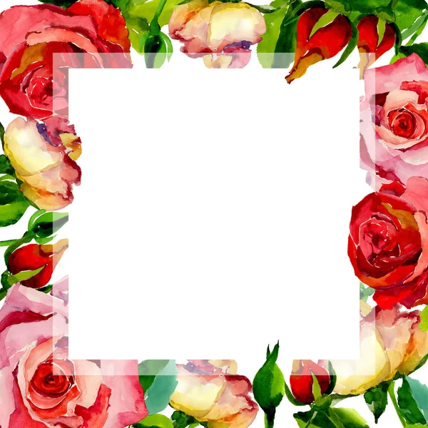 Kır çiçeği gül çiçek çerçeve suluboya tarzında.