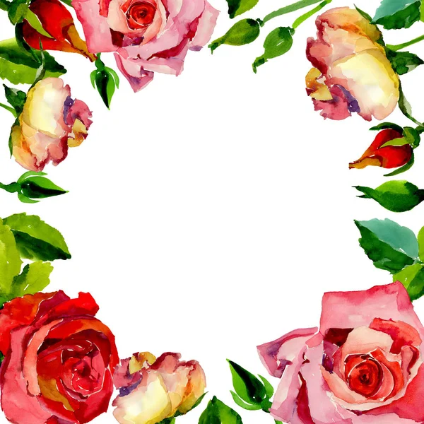 Kır çiçeği gül çiçek çerçeve suluboya tarzında.