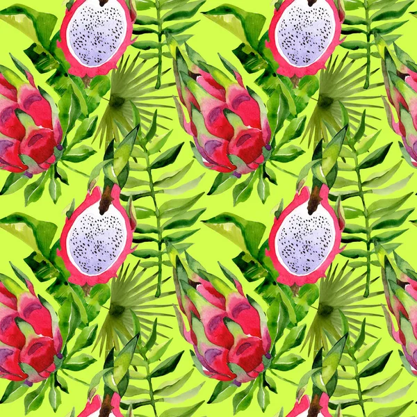Тропічний Гаваї листя пальмові дерева і pitaya шаблон в акварель стиль. — стокове фото