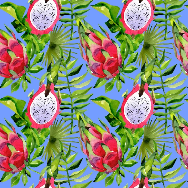 Tropical Hawaii laisse palmier et motif pitaya dans un style aquarelle . — Photo