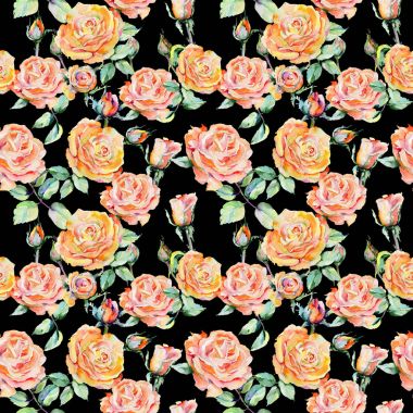 Kır çiçeği gül çiçek deseni suluboya tarzında.