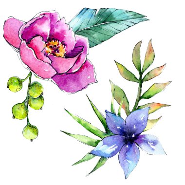 Bir suluboya tarzında izole tropikal bitki.