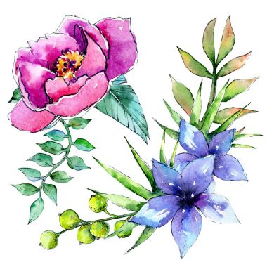 Bir suluboya tarzında izole tropikal bitki.