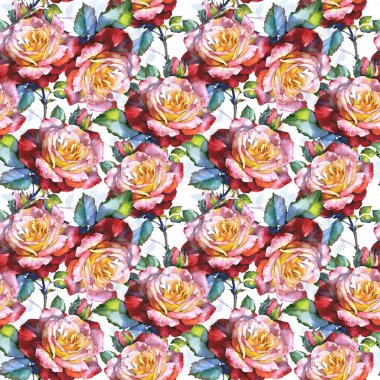 Kır çiçeği gül çiçek deseni suluboya tarzında.