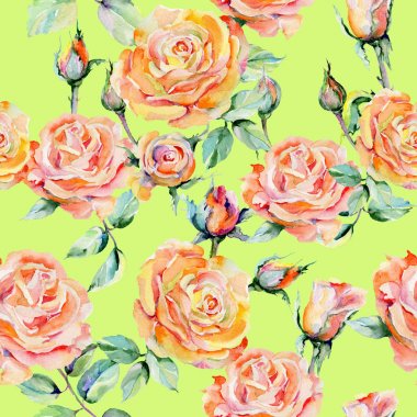 Kır çiçeği gül çiçek deseni suluboya tarzında.