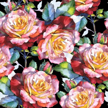 Kır çiçeği gül çiçek deseni suluboya tarzında.