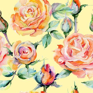 Kır çiçeği gül çiçek deseni suluboya tarzında.