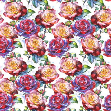 Kır çiçeği gül çiçek deseni suluboya tarzında.