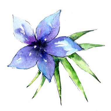 Bir suluboya tarzında izole tropikal bitki.