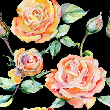 Kır çiçeği gül çiçek deseni suluboya tarzında.