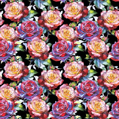 Kır çiçeği gül çiçek deseni suluboya tarzında.