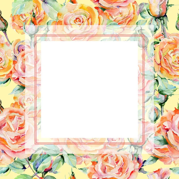 Wildflower ros blomma ram i akvarell stil. — Stockfoto