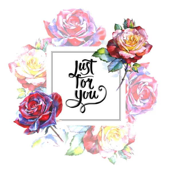 Kır çiçeği gül çiçek çerçeve suluboya tarzında.