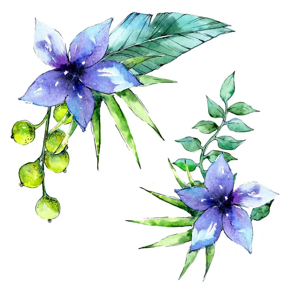 Bir suluboya tarzında izole tropikal bitki.