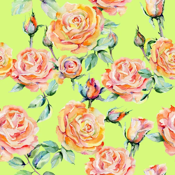 Kır çiçeği gül çiçek deseni suluboya tarzında.