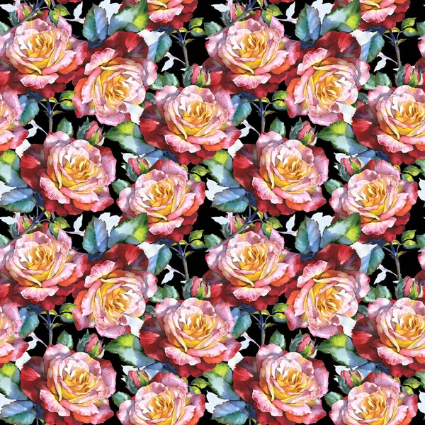 Kır çiçeği gül çiçek deseni suluboya tarzında.