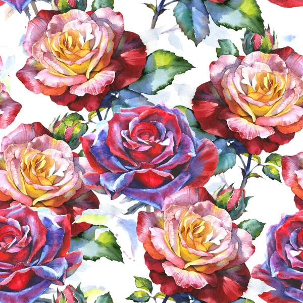 Wildblume Rosenblütenmuster im Aquarell-Stil. — Stockfoto