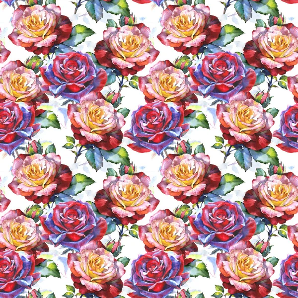 Wildflower rose flower pattern in a watercolor style. — Stock Photo, Image