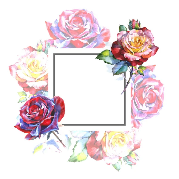 Wildblume Rose Blume Rahmen in einem Aquarell-Stil. — Stockfoto