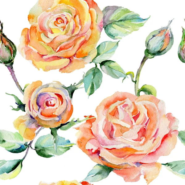 Kır çiçeği gül çiçek deseni suluboya tarzında.