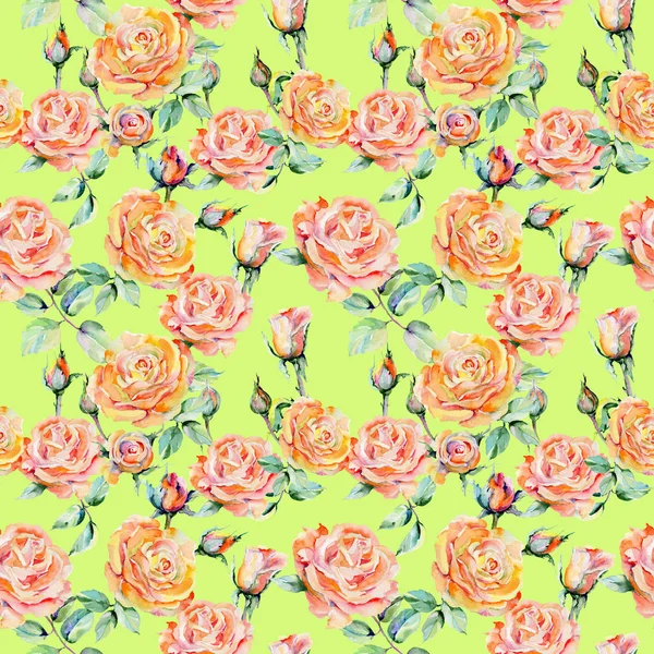 Wildflower rose flower pattern in a watercolor style. — Stock Photo, Image