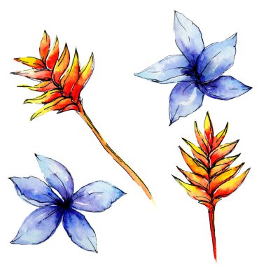 Tropikal Hawaii bitki izole bir suluboya tarzında bırakır..