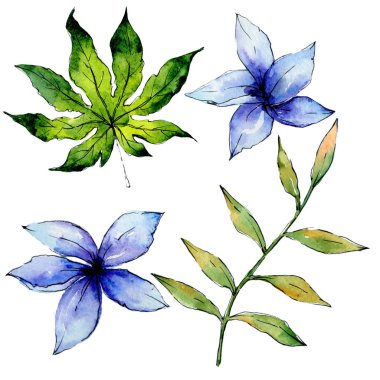 Tropikal Hawaii bitki izole bir suluboya tarzında bırakır..