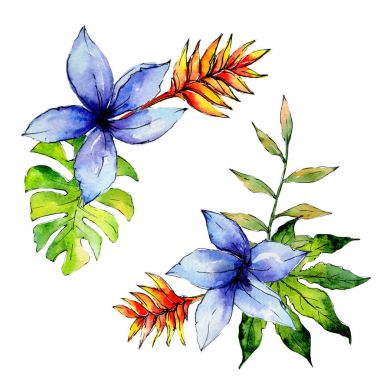 Tropikal Hawaii bitki izole bir suluboya tarzında bırakır..