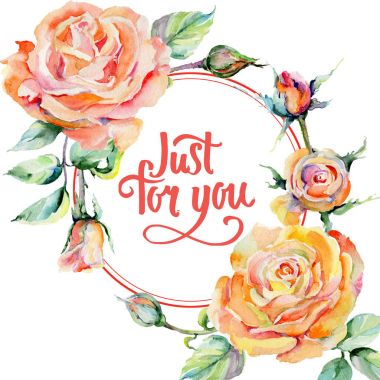 Kır çiçeği gül çiçek çerçeve suluboya tarzında.