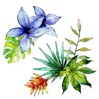 Tropikal Hawaii bitki izole bir suluboya tarzında bırakır..