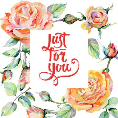 Kır çiçeği gül çiçek çerçeve suluboya tarzında.