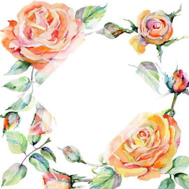 Kır çiçeği gül çiçek çerçeve suluboya tarzında.