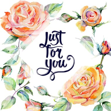 Kır çiçeği gül çiçek çerçeve suluboya tarzında.