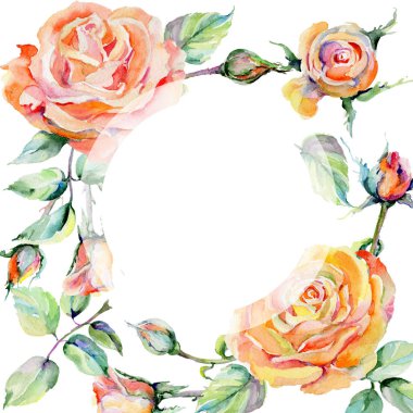 Kır çiçeği gül çiçek çerçeve suluboya tarzında.