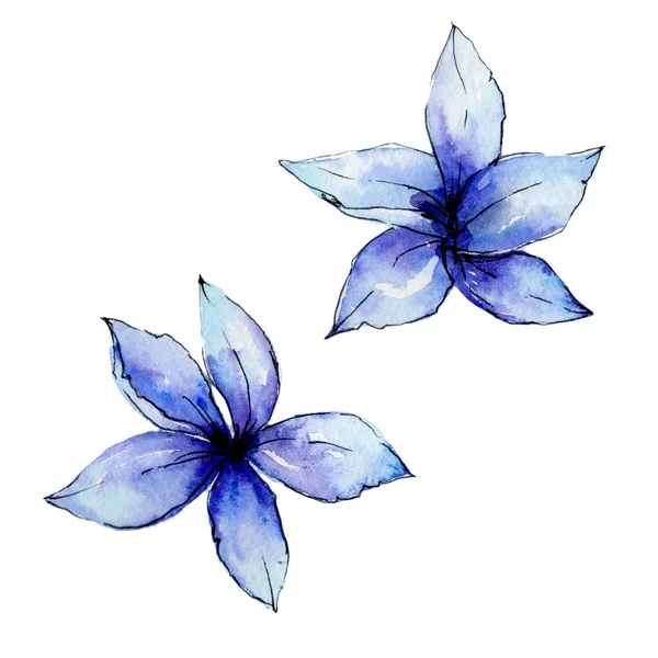 Tropikal Hawaii bitki izole bir suluboya tarzında bırakır..