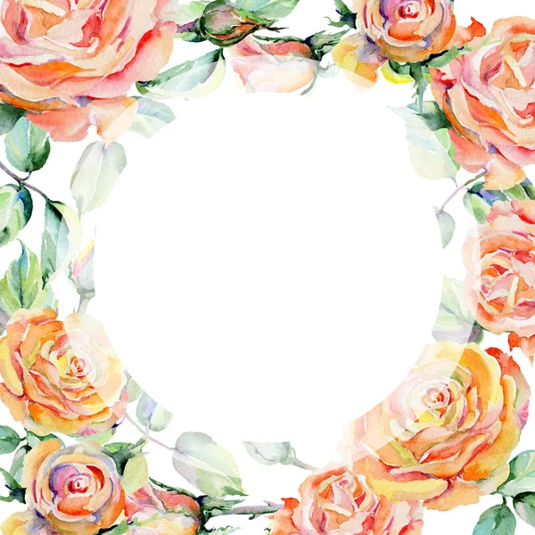 Wildflower rose flower frame in a watercolor style. — Stock Photo, Image