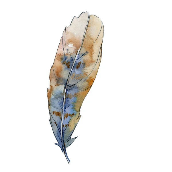 Plume d'oiseau aquarelle de l'aile isolée . — Photo