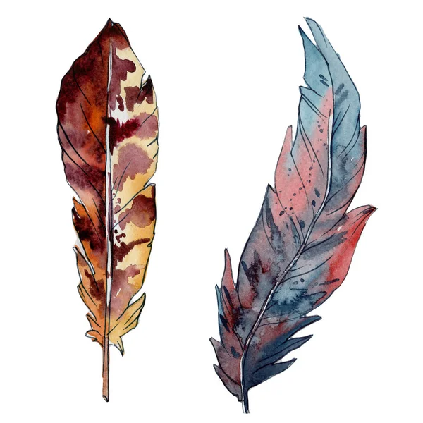 Watercolor bird feather from wing isolated. — Stock Photo, Image