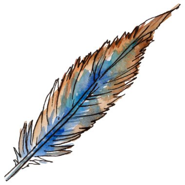 Suluboya kuş tüyü izole kanat üzerinden.