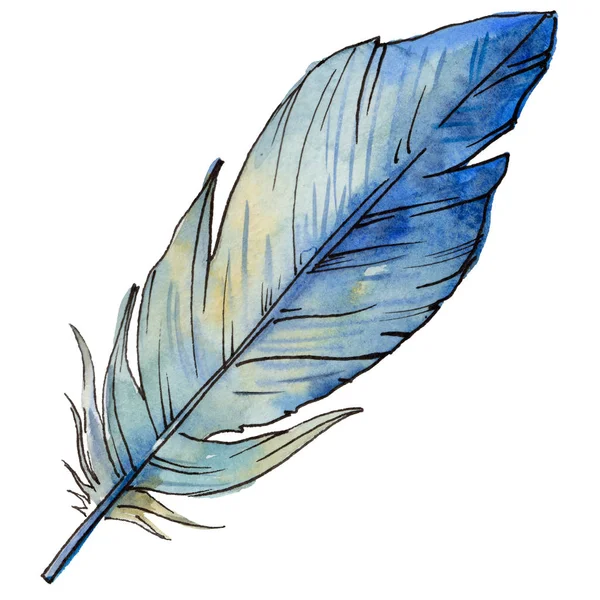 Watercolor bird feather from wing isolated. — Stock Photo, Image