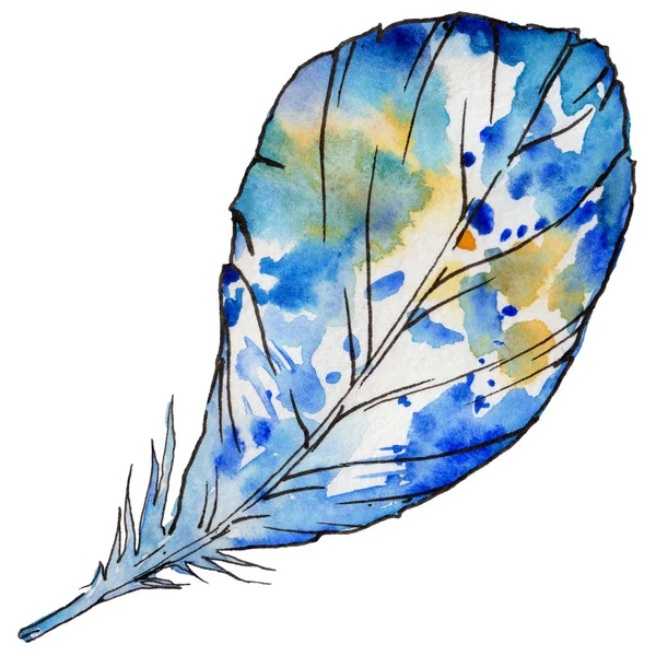 Suluboya kuş tüyü izole kanat üzerinden.